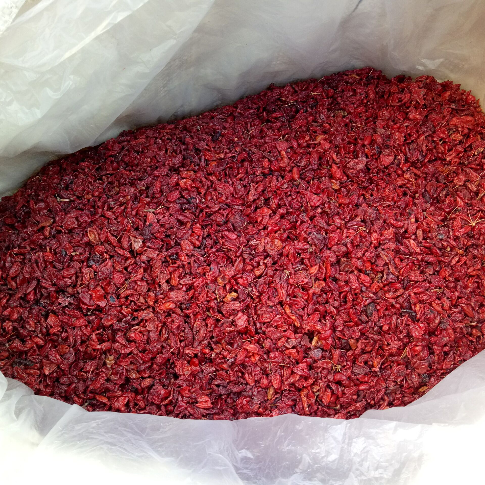 Cornus Fruit Shan Zhu Yu 山茱萸 Dried Asiatic Dogwood Fruit 500g Traditional TCM Herb in use