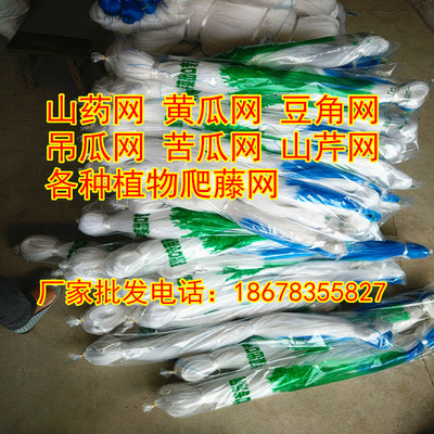 植物爬藤网山药网黄瓜网吊瓜网豆角苦瓜网各种藤类支架网攀爬网
