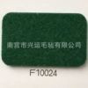 F10024