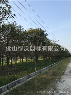 ��ɽ���~�� ���~�Ż��� ���~�ň�r ����17���ִ��~�ų���