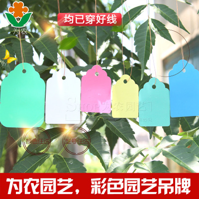 供应塑料标签，园艺标签，花卉标签，种子标签