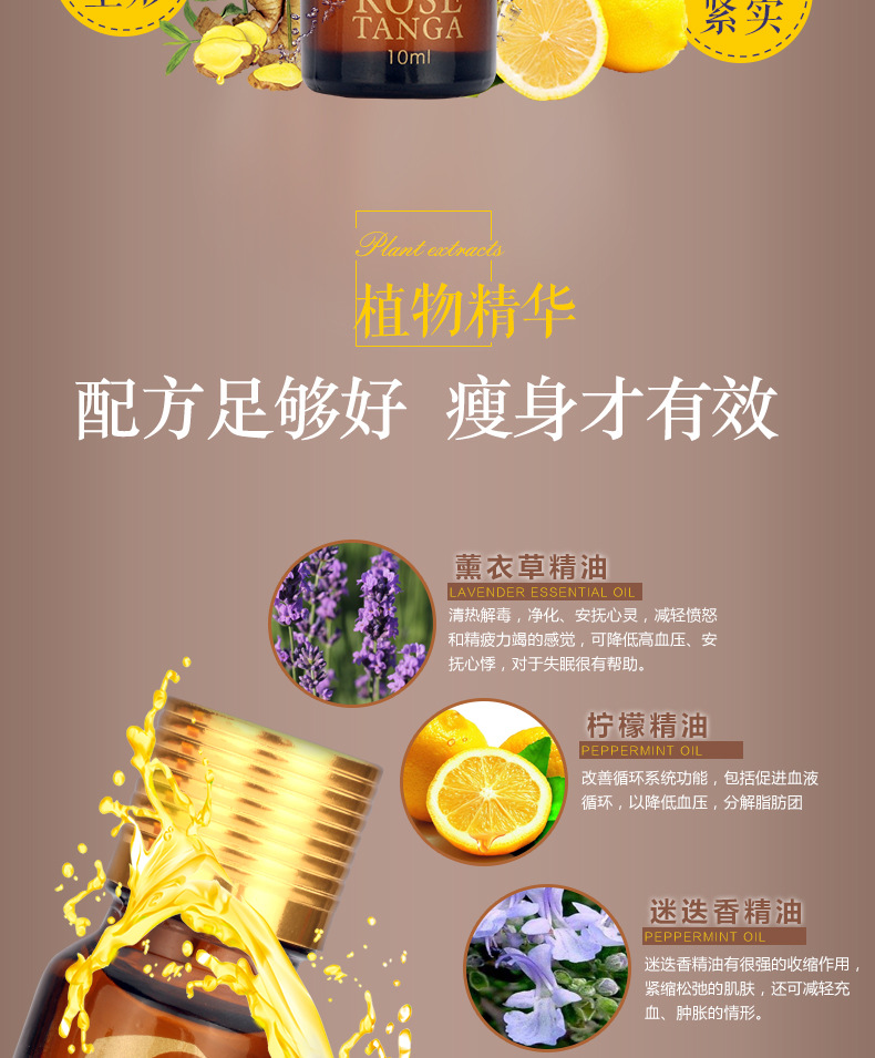 玫瑰探戈-纤体瘦身_05