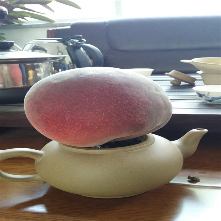 QQ图片20170802215018