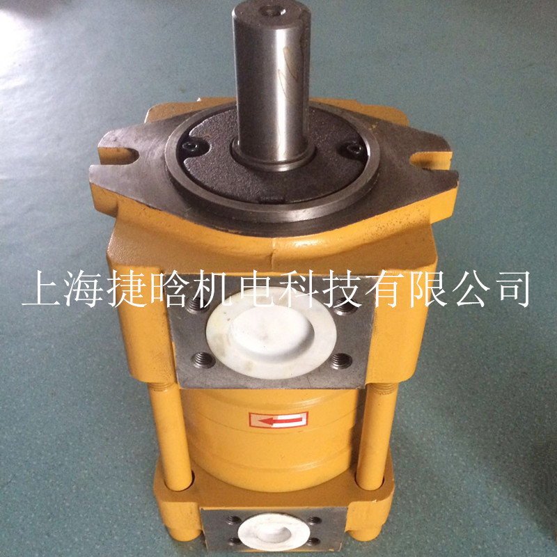 NT PUMP 齿轮泵浦泵 NT5-C160F 直线共轭内啮合油泵