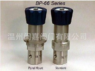 管道背压安全阀 背压安全阀