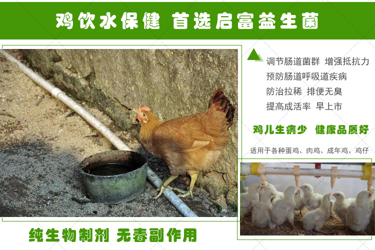 em菌液给鸡饮水的好处