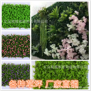 ֲƺ̺GֲwٲƤ̨ݾGbGɫֲ