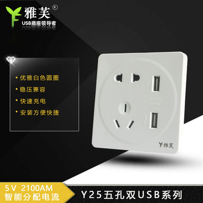 定做名种外贸型USB插座 可免费开模具墙壁USB带开关插座面板|ms