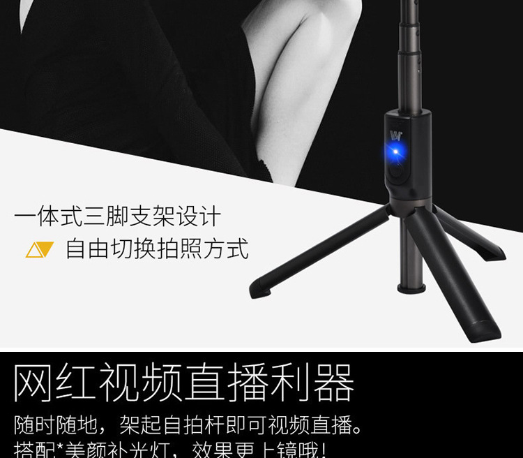 Bâton selfie en Acier inoxydable - Ref 3386835 Image 14