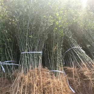 ������r�� �޽��������� 05�����������������