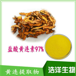 �}���Sɏ��97% �}��С���| �S�B�� ��������