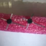 全新量大smd2sc3358三级管