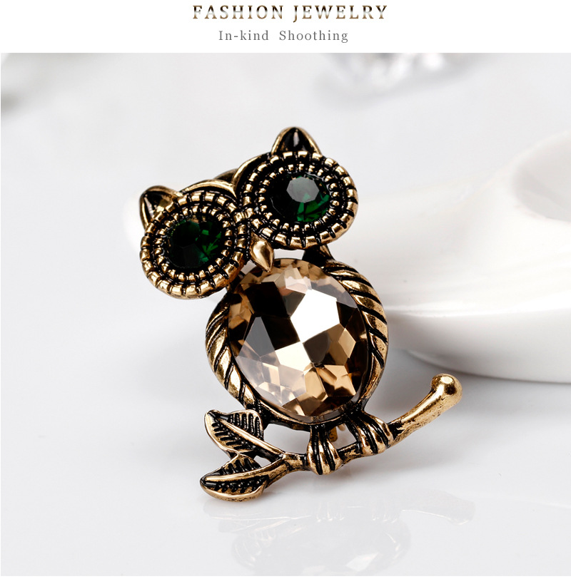 Fashion Owl Alloy Inlay Rhinestones Women's Brooches display picture 7