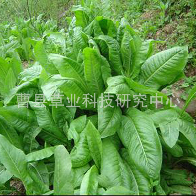 1160466861_1941745036