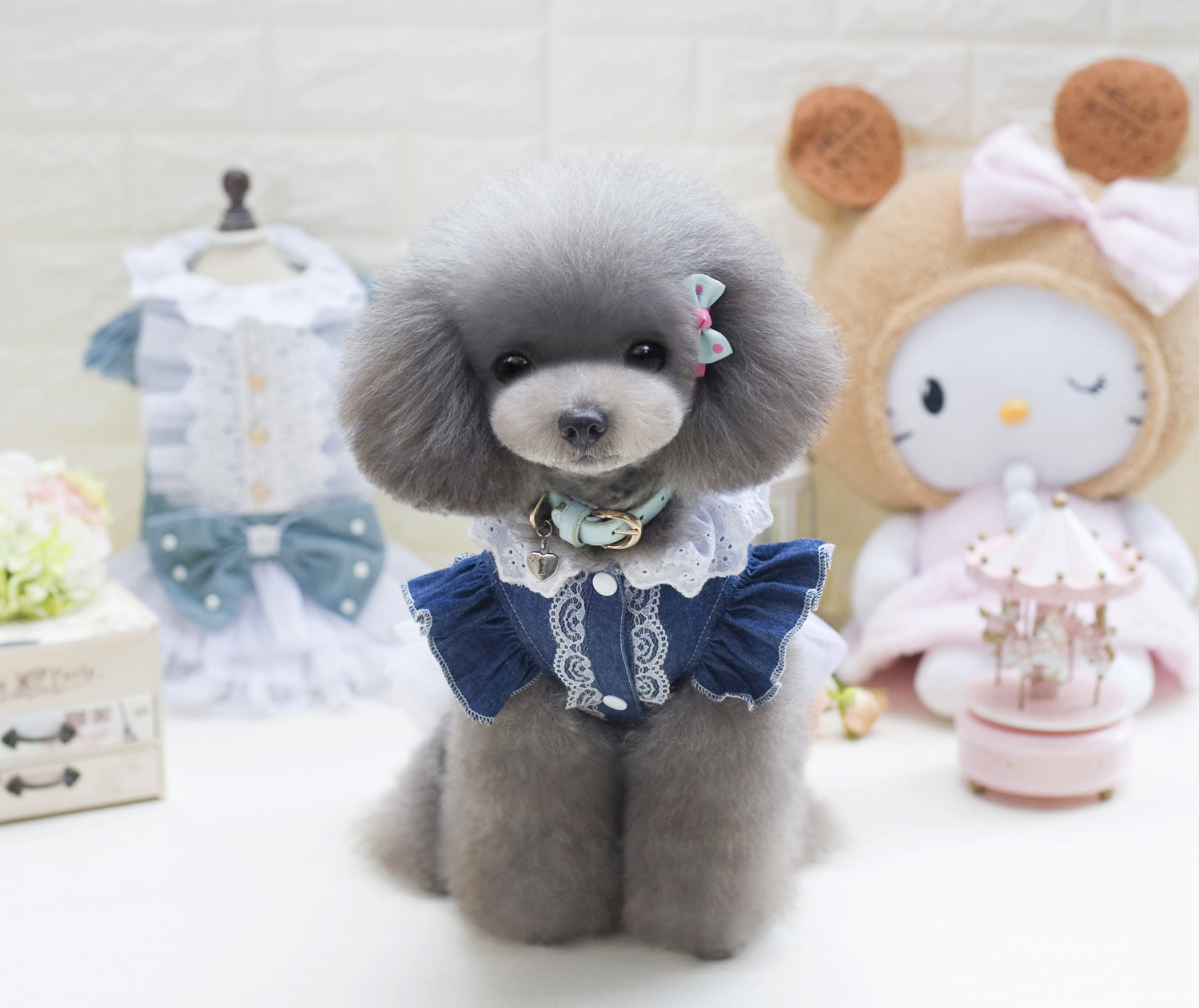 _MG_6682
