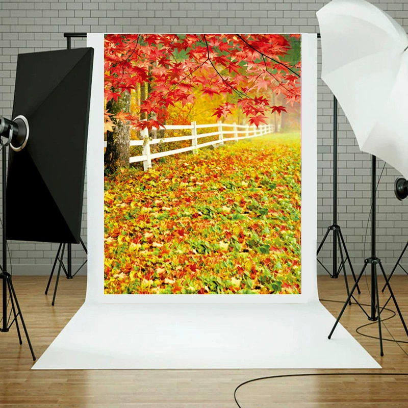 Новый кленовый забор внешней торговли фотостудия корейского новорожденного ребенка простой стиль ребенка 3D фото фон