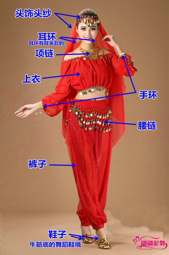 Belly dance clothing Indian dance performance clothing dance practice clothing belly dance suit new long-sleeved lantern sleeve suit