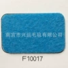 F10017