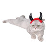 Halloween pet supplies factory Halloween cat jewelry cattle horn hat vampire little devil adult bull horn hat