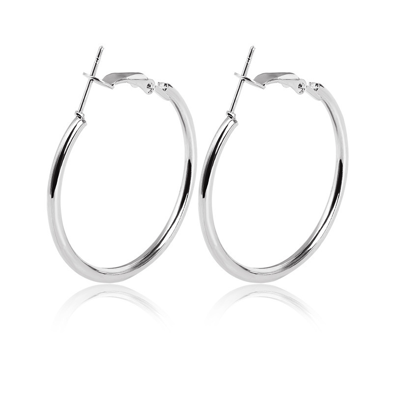 New Simple Geometric Circle Earrings Hypoallergenic Stainless Steel O-ring Hoop Earrings Wholesale display picture 7