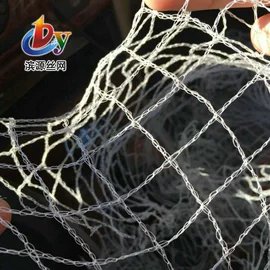 其他塑料网;防虫网;其他安全网