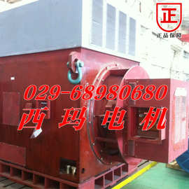 YRKK4501-10 185KW/IP55/6KV绕线型/高压电机图片