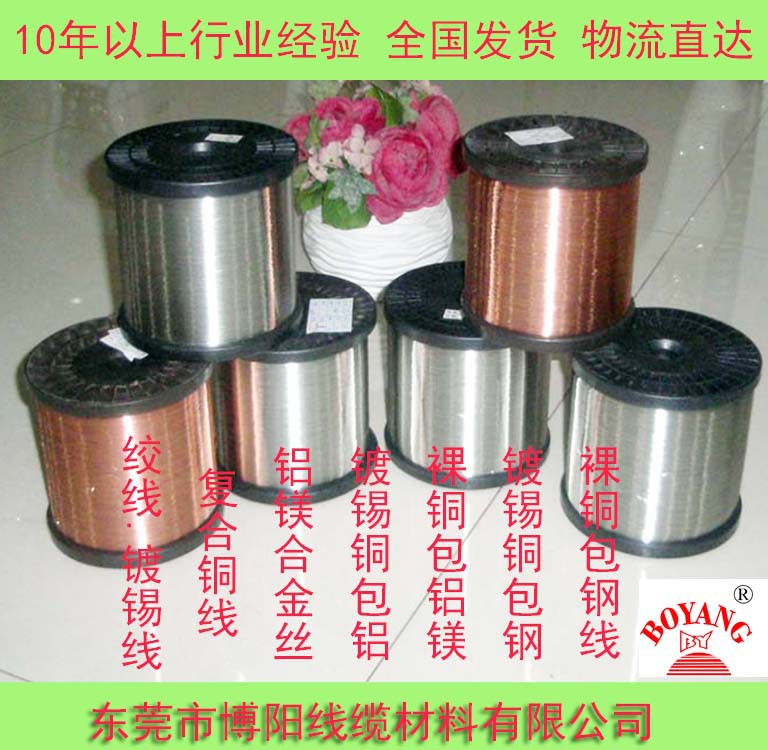 供应0.08~ 0.32 现货铜包钢线 镀锡铜包铁无磁铜包钢全国发次日达
