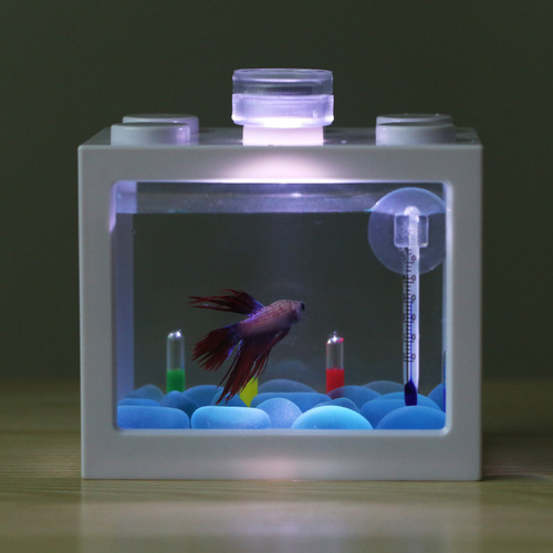Creative Box Tank, Ecosystem Tank, Betta Fish Tank, Algae Balls, Spider Box, Ant Box, Small Mini Reptile Tank, Tiered Tank