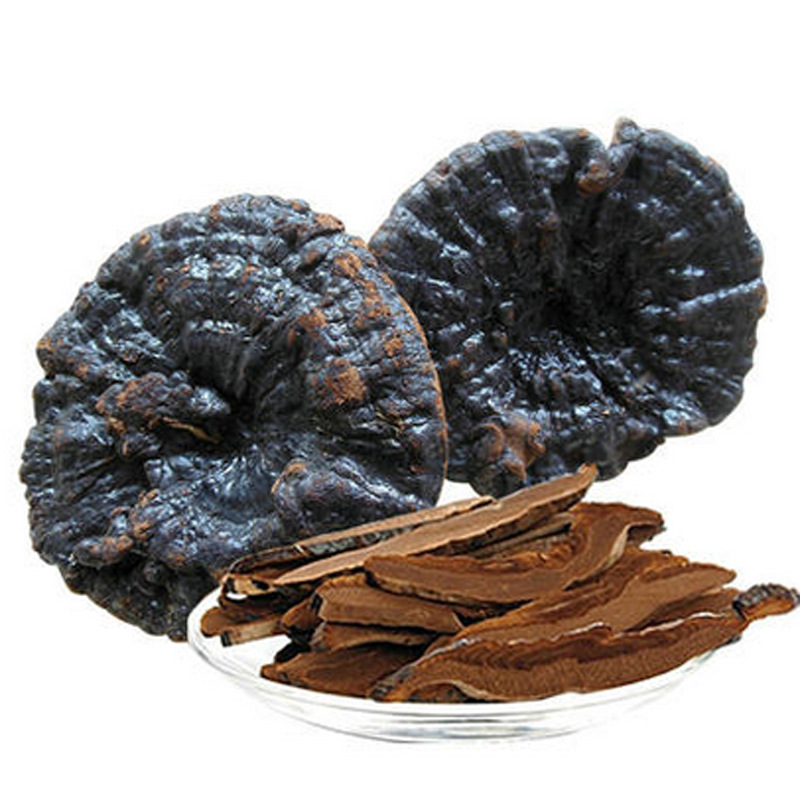 野紫灵芝 灵芝片 野紫芝批发 深山紫芝灵芝草整枝紫黑灵芝|ms