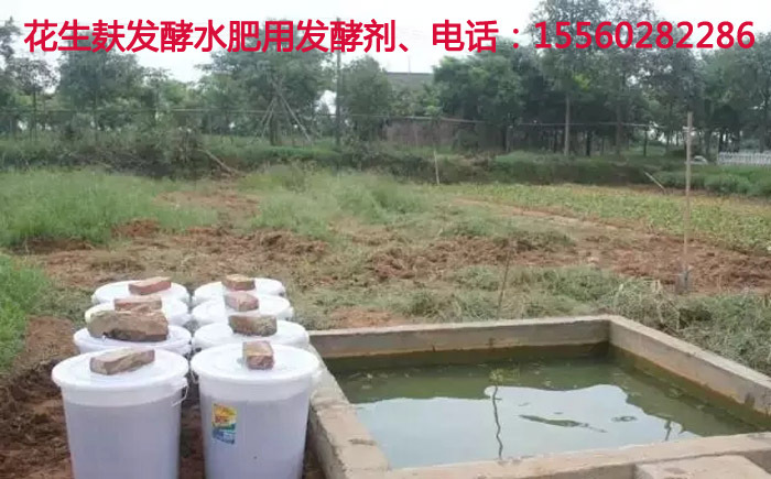 花生麸发酵肥料