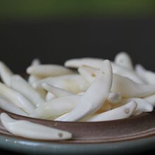 ���� ������������� ��������