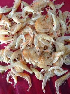 ���l���۶��^�u�t���rƤ�������r��ʳ���r��؛�خa�����~���|�rƤ