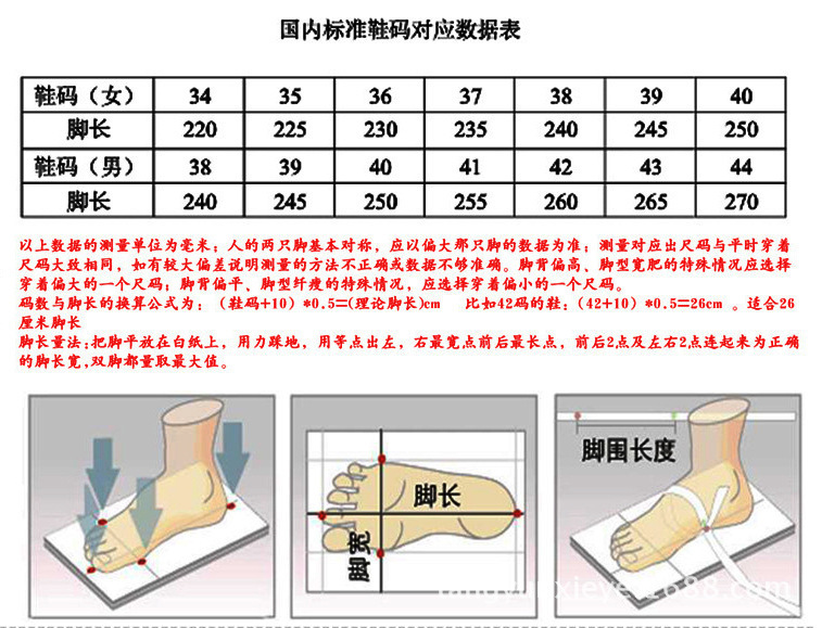 4197982266_1094778181