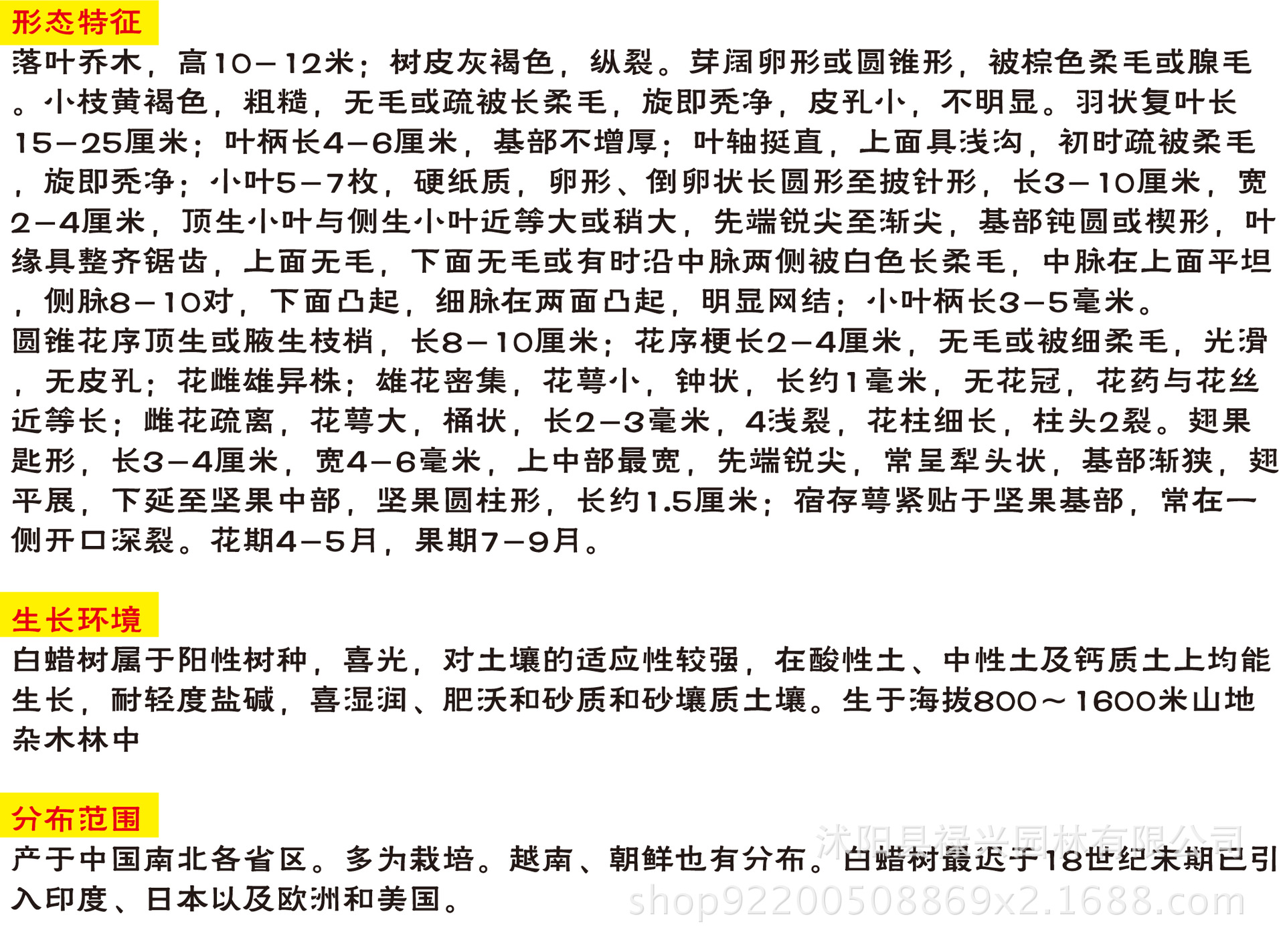 白蜡介绍-01
