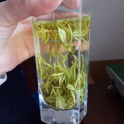 半斤装250克 安吉白茶正宗春茶原产地明前特级安吉白茶批发直销|ms