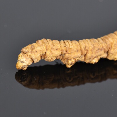 西藏那曲野生冬虫夏草正品礼盒3000条精选