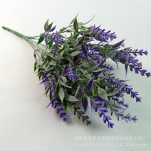 �߷���޹�²� ֲë��@�L���bѻ� ���~����ɫ޹�²ݽz��