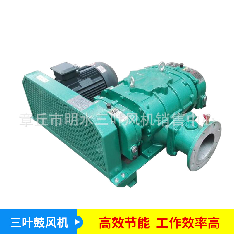 高压罗茨鼓风机 SWR-65H罗茨增氧机 水产养殖风机 体积小噪音低