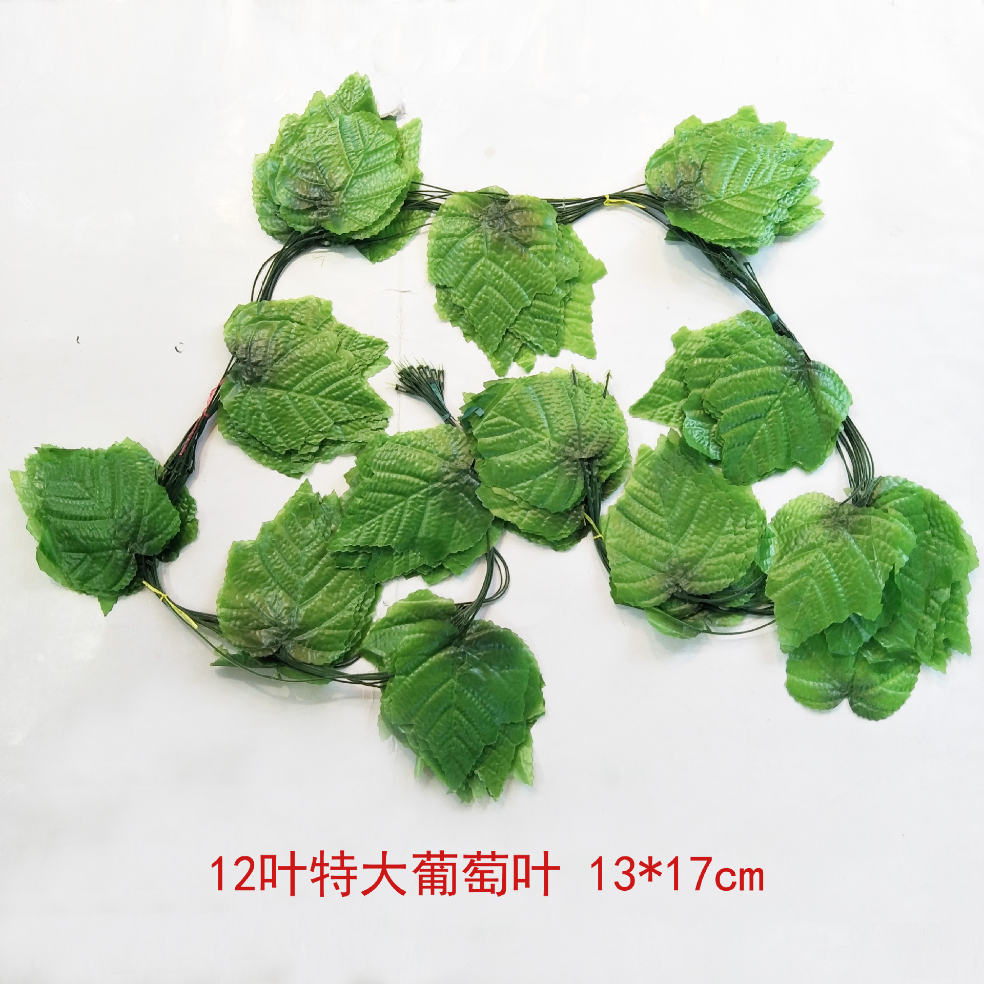 12叶特大葡萄叶