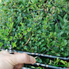 Handwing two -use black rock fishing rod 2.1 to 6.3 FRP, Riji Ridi Rouchi Lake fishing rod, remote shot pole fishing rod