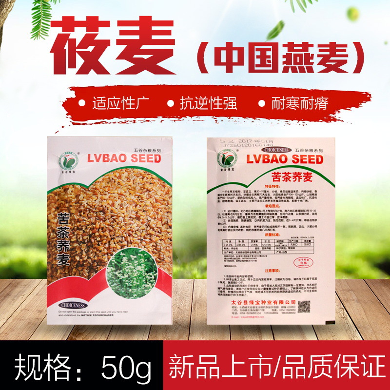五谷杂粮种子 中国燕麦种子大麦 莜麦种子批发 绿色春秋易播耐旱|ms