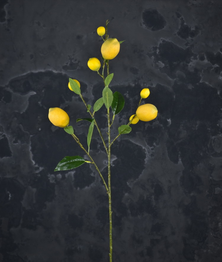 2-4黄色欧罗柠檬