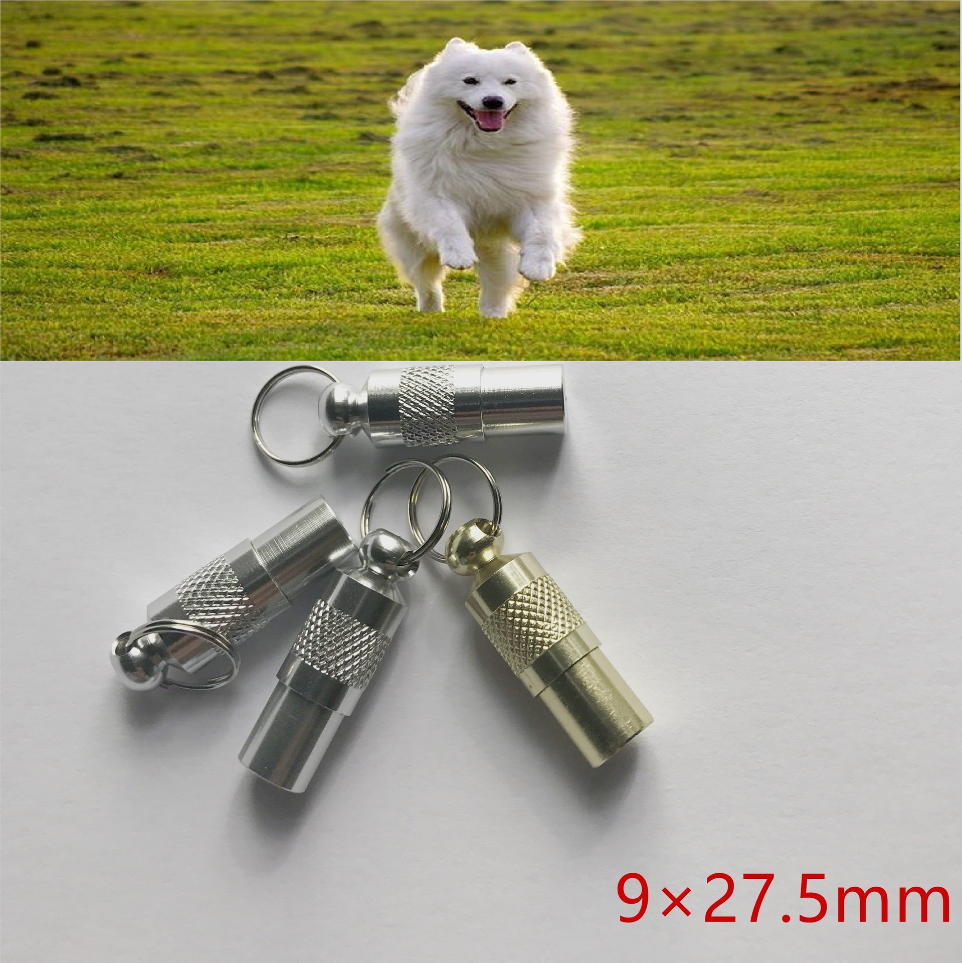 阿里旺旺图片201708021616350