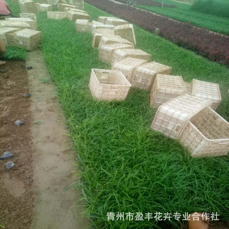 微信图片_20170829164410