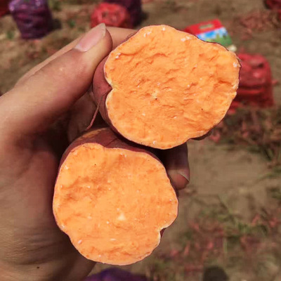 淘货源漳州漳浦六鳌红薯5斤装小果 新鲜红蜜薯农家现挖地瓜采源宝|ms