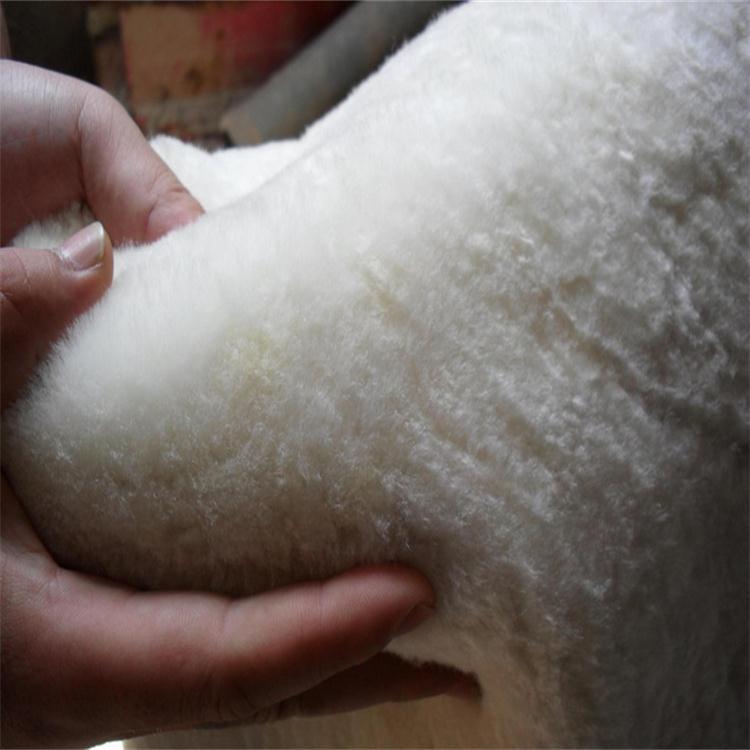 2345_image_file_copy_14