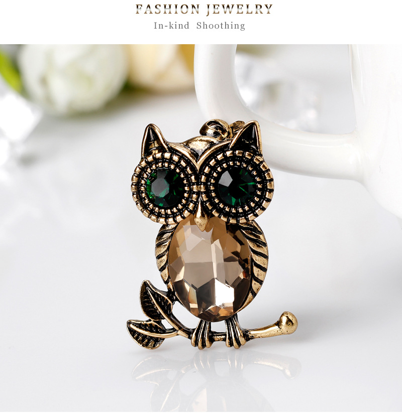 Fashion Owl Alloy Inlay Rhinestones Women's Brooches display picture 5