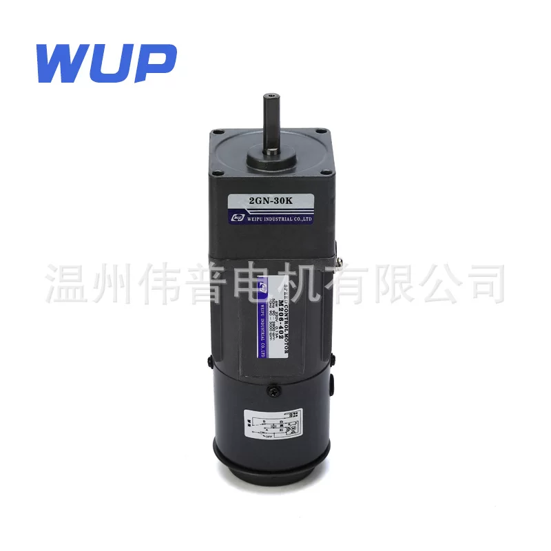 Engine with gears, 6W, 110v
