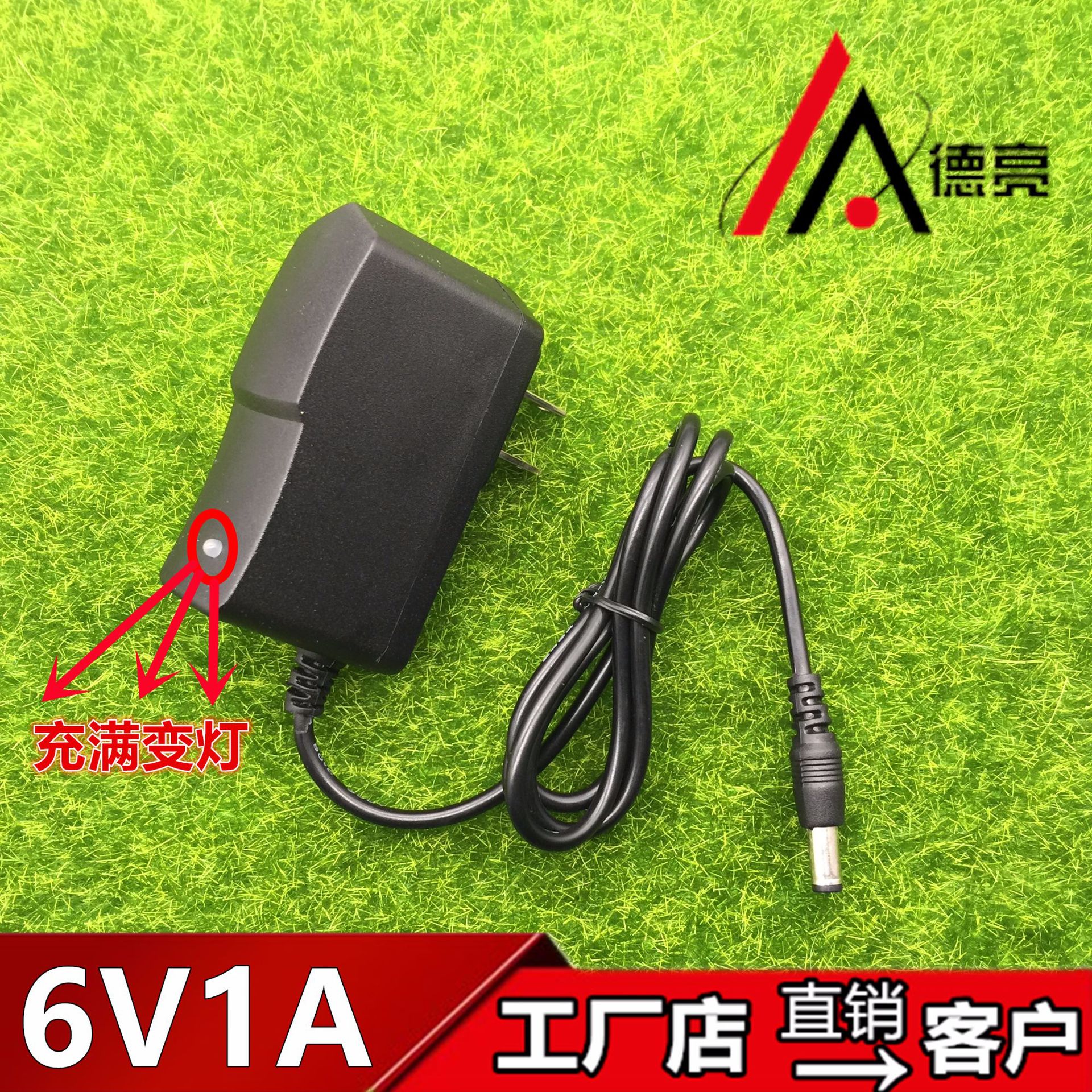 6V1A充电器 6V500mA电子秤充电器 美规/欧规/英规/澳规 充满变灯