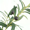 The new six -fork simulation olive branch with fruit fake tree leaves simulation plant decorative green plant photography explosion